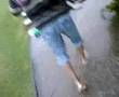 piss funny Flood