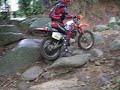 trillha andre