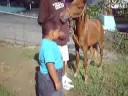 Puerto Rico 16