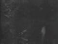The Hound of the Baskerville