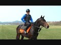 Hybrid Horsemanship (Defcon Update)