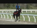 Hybrid Horsemanship (Defcon Update)