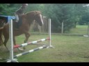 Saut avec Mata Saut avec Mata
