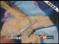 videos de 02 為甚麼不能吃它們 - 地上跑的