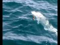 Pesca chova en Chiclana con tail dancer por barracuda