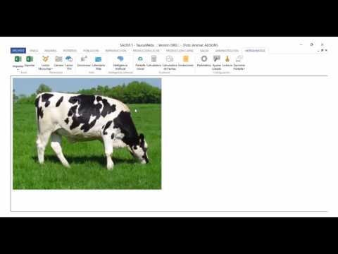 5. Tutorial Poblacion l OvisWebs