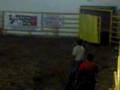 fiesta de romi