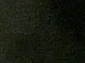 Ali tornado cenit vs karapet 1st round Ali tornado cenit vs karapet 1st round
