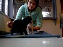 F�meas � venda