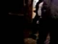 videos de yuppies gone wild 3