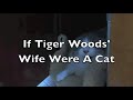If Tiger Woods' Wife Were A Cat