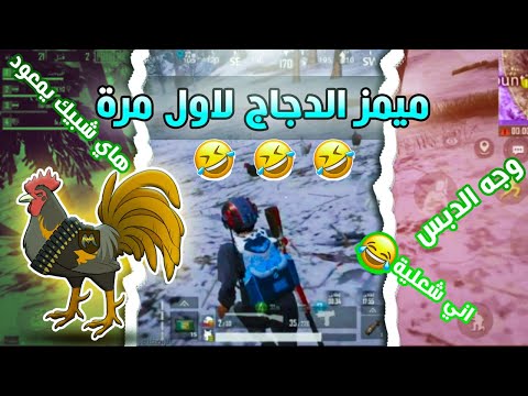 ميمز الدجاج ببجي موبابل 😂 تحشيش خرافي اتحداك ماتضحك😂😂😂