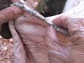 Jack Mountain Bushcraft Journal 16 - ESSP Week 10
