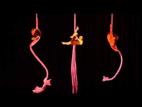 aerial silks
