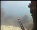 Chasse par petits fonds
