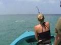Tarpon Fishing Boca Grande