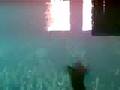 Tiesto Haoman 17