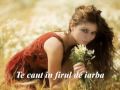 TE CAUT ESTE SUPERB - videoclip
