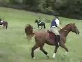 Barn Out Schooling  X-C