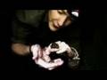 Britain in Cold Blood - The Quest.part 1 - Toad in the Hole