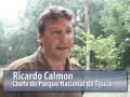 Ver o vídeo