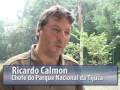 Ver o vídeo