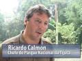 Ver o vídeo