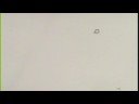 Metamorphosis Animation Study