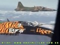 Força Aérea Brasileira - REVO do F5-E 30 anos