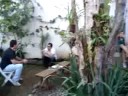Feijoada  com Samba 7