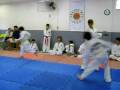 exame tkd  miguel 6