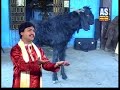 Mataji Betha Che Kinare Od Talav Ne Re...