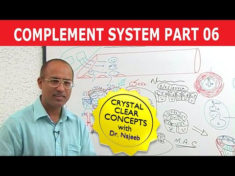 Complement System - Immunology - Part 6/18