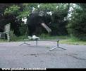 Nowheresk8 #97 Will Allen 15 - p-rail