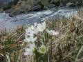 ariege 09