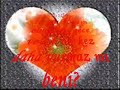 romantik klip tutsak çok duygusal muzik kenanizim kenanizm