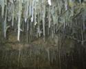 40 A�os de Espeleolog�a