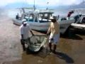 Cleaning up the Lake Atitlan
