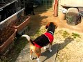 CIMG2424.MOV