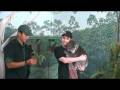 videos de 38 - cleland - brian and koala 1.mpg