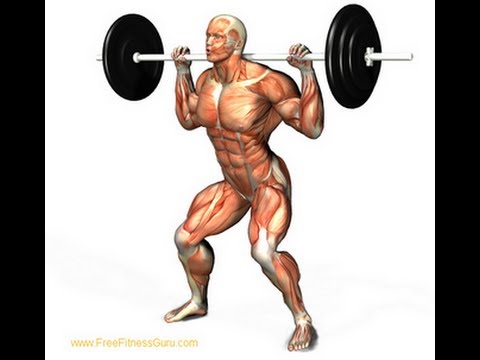 how to train legs with a bad back