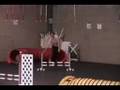 Wanda the agility bulldog - full house