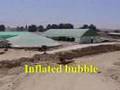 fish farming guide