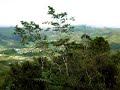 Kundasang Valley Kundasang Valley