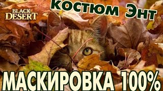 Black Desert (RU) - Доспехи Энт (плюсы и минусы костюма) Black Desert (RU) - Доспехи Энт (плюсы и минусы костюма)