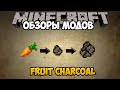 Fruit Charcoal for Minecraft video 1