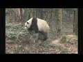 Sichuan Province