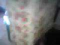 videos de sschs-bola's show