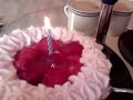 Mein 29. oder EAV/Geburtstag