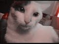 Thumbnail #1